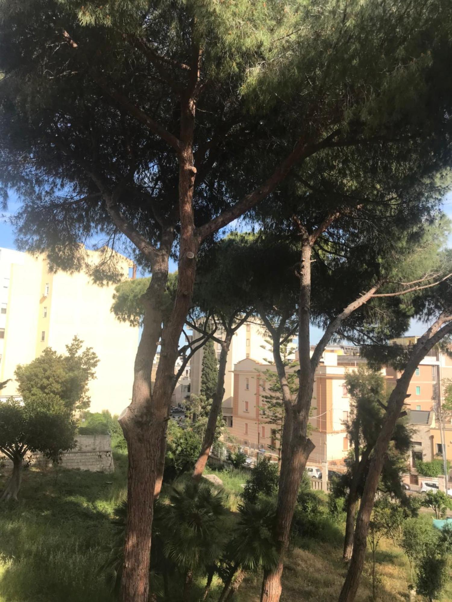 Villa San Giuseppe Brindisi Exterior photo